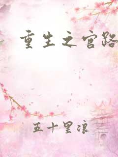 重生之官路情长