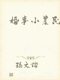 婚事小农民