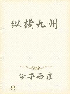 纵横九州