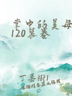 掌中的美母版主120慕卷