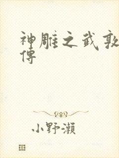 神雕之武敦儒大传