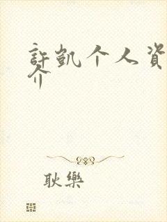 许凯个人资料简介