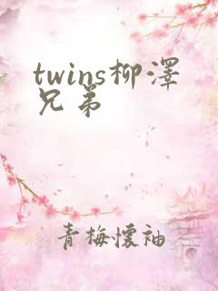 twins柳泽兄弟