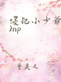 侵犯小少爷(H)np