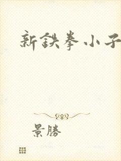 新铁拳小子