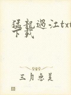 猛龙过江txt下载