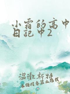 小霜的高中成长日记中2