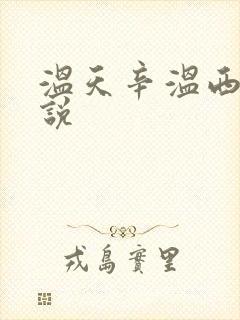 温天辛温西离小说