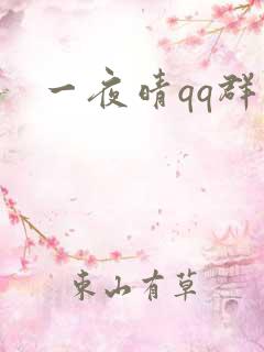 一夜晴qq群