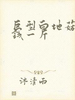 巨型白地菇多少钱一斤