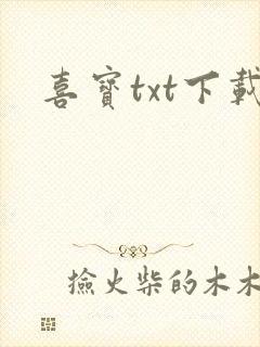 喜宝txt下载
