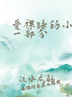 爱裸睡的小丹第一部分