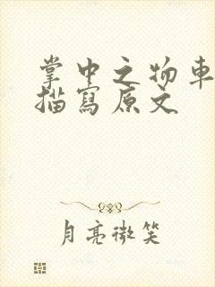 掌中之物车里震描写原文