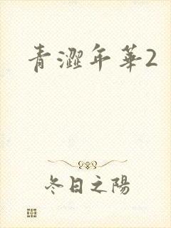 青涩年华2