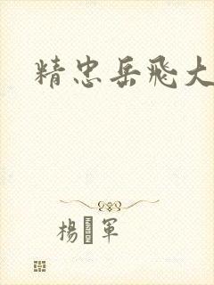 精忠岳飞大结局