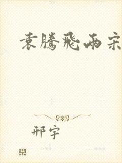 袁腾飞两宋风云