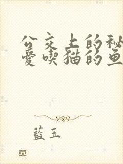 公交上的秘密 爱吃猫的鱼