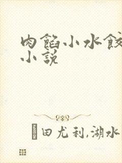 肉馅小水饺写的小说