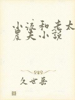 小流和老太69农夫小说