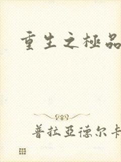 重生之极品男妾