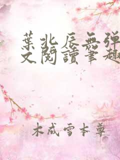 叶北辰无弹窗全文阅读笔趣阁