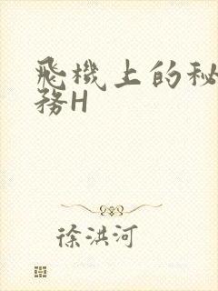 飞机上的秘密服务H