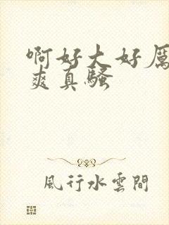 啊好大好厉害好爽真骚