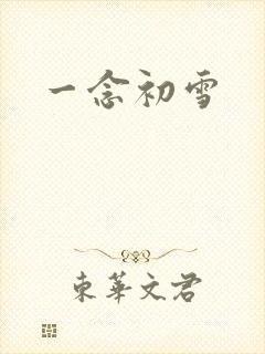 一念初雪