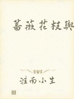 蔷薇花枝与灰烬