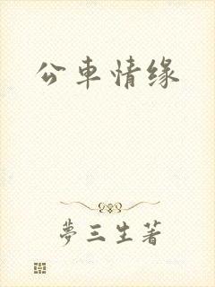 公车情缘