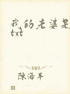 我的老婆是警察txt