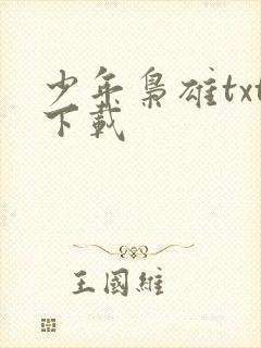 少年枭雄txt下载
