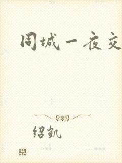 同城一夜交友