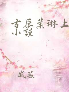 方辰叶琳上官步小说