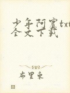 少年阿宾txt全文下载