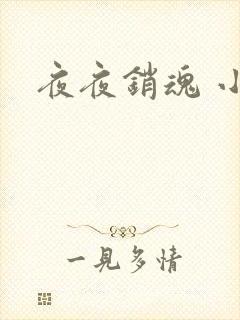 夜夜销魂 小说