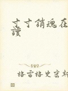 寸寸销魂在线阅读