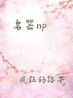 名器np