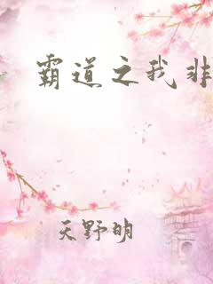 霸道之我非英雄