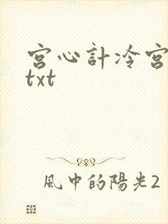 宫心计冷宫皇后txt