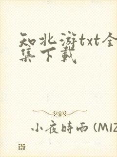 知北游txt全集下载