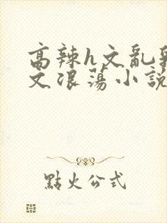 高辣h文乱乳h文浪荡小说苏瑾瑶