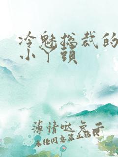 冷魅总裁的纯纯小丫头