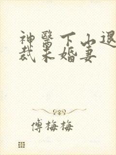 神医下山退婚总裁未婚妻