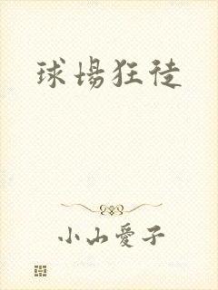 球场狂徒