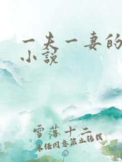 一夫一妻的玄幻小说