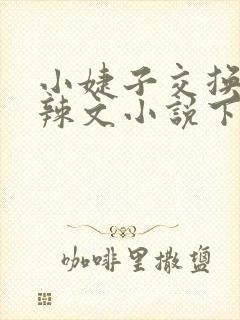 小婕子交换系列辣文小说下载