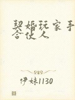 契婚玩家手册之合伙人