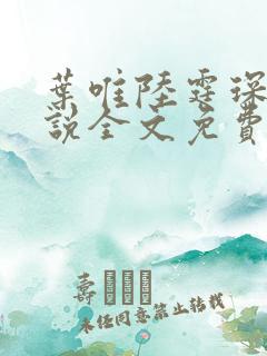 叶唯陆霆琛的小说全文免费阅读