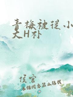 青梅被从小摸到大H补